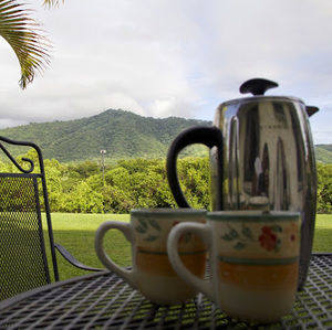 Meet your Posher, Luke and luch